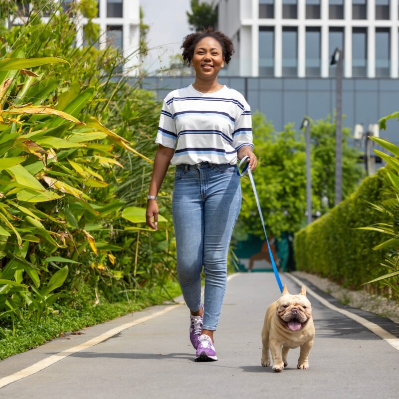 shutterstock 2399586169